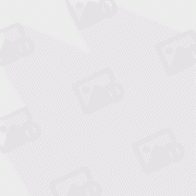 当代书法艺术家:毋传玉